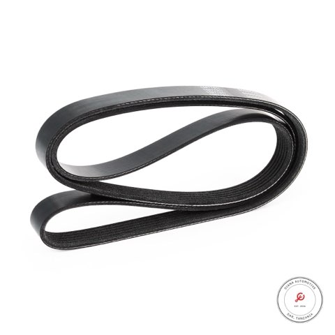 Ridex 305P0081 Serpentine Belt, photo 3
