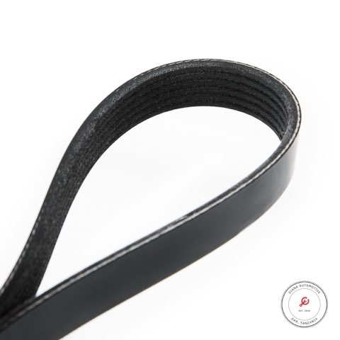 Ridex 305P0081 Serpentine Belt, photo 4