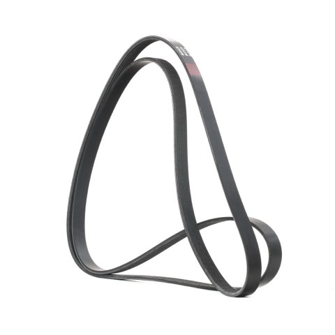 Ridex 305P0100 Serpentine Belt