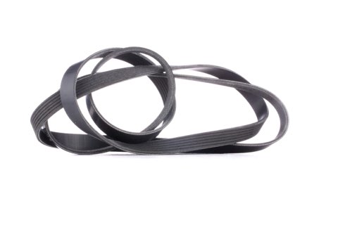 Ridex 305P0102 Serpentine Belt