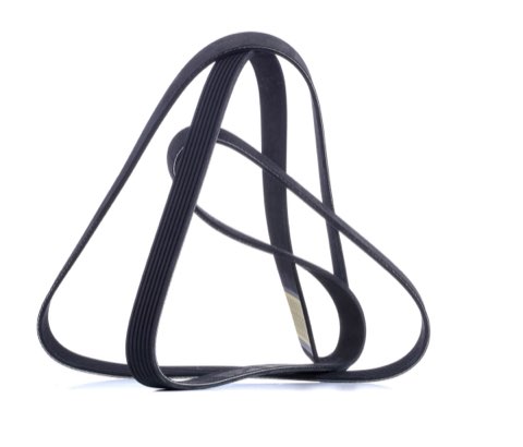 Ridex 305P0109 Serpentine Belt