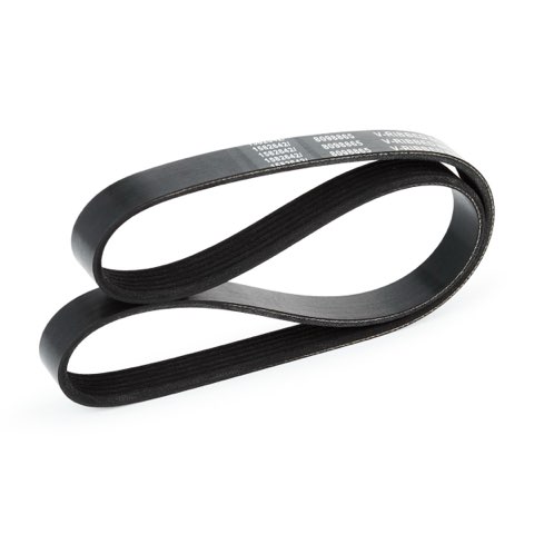 Ridex 305P0116 Serpentine Belt, photo 3