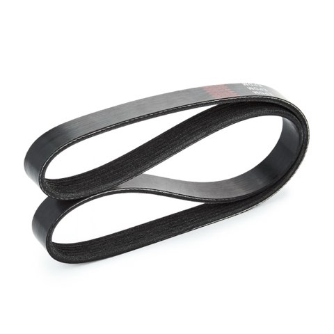 Ridex 305P0122 Serpentine Belt, photo 3