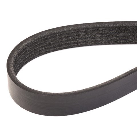 Ridex 305P0123 Serpentine Belt, photo 3