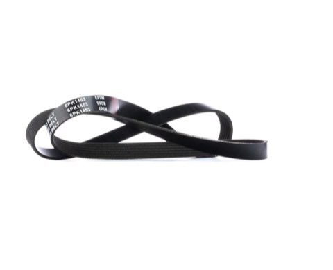 Ridex 305P0144 Serpentine Belt
