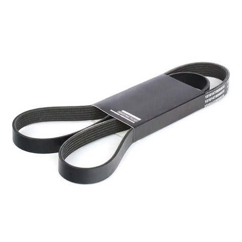 Ridex 305P0144 Serpentine Belt, photo 3