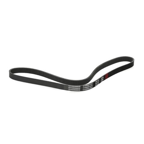 Ridex 305P0151 Serpentine Belt, photo 3