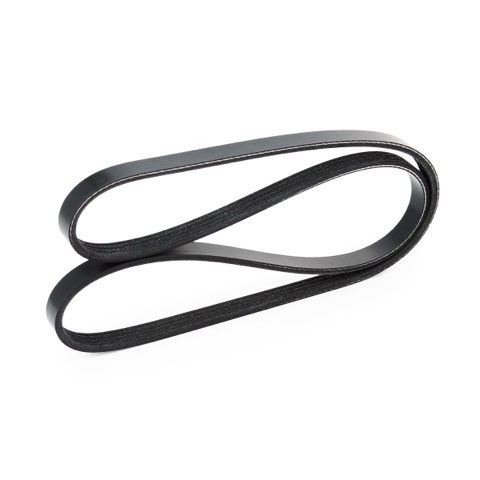 Ridex 305P0154 Serpentine Belt, photo 3