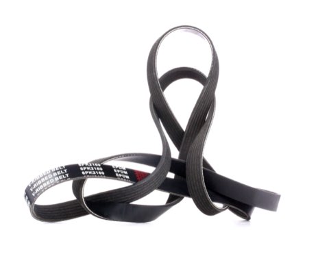 Ridex 305P0162 Serpentine Belt