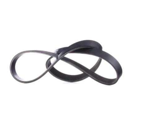 Ridex 305P0176 Serpentine Belt
