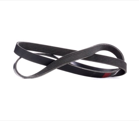 Ridex 305P0177 Serpentine Belt