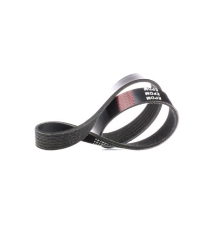Ridex 305P0194 Serpentine Belt