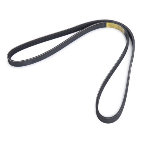 Ridex 305P0202 Serpentine Belt, photo 3