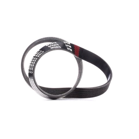 Ridex 305P0204 Serpentine Belt
