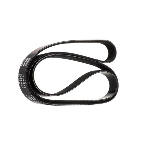 Ridex 305P0308 Serpentine Belt