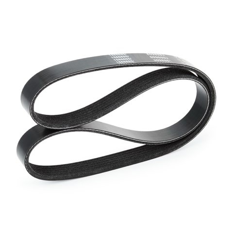 Ridex 305P0311 Serpentine Belt, photo 3
