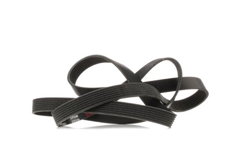 Ridex 305P0362 Serpentine Belt