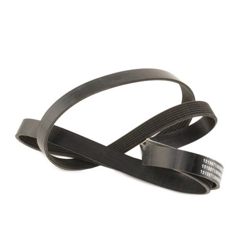 Ridex 305P0362 Serpentine Belt, photo 3