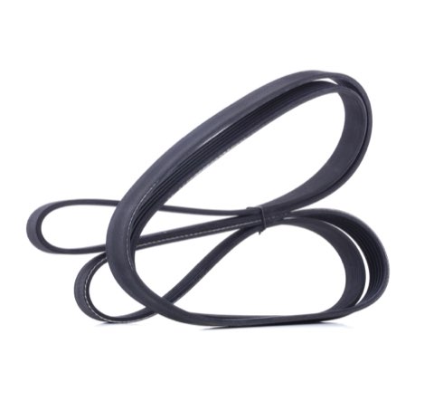 Ridex 305P0365 Serpentine Belt
