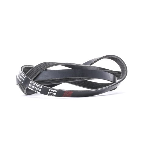 Ridex 305P0366 Serpentine Belt