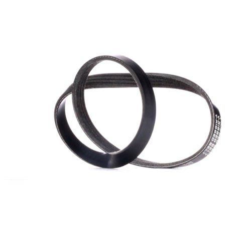 Ridex 305P0381 Serpentine Belt