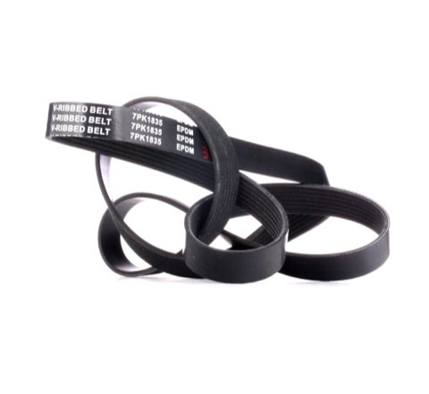 Ridex 305P0385 Serpentine Belt