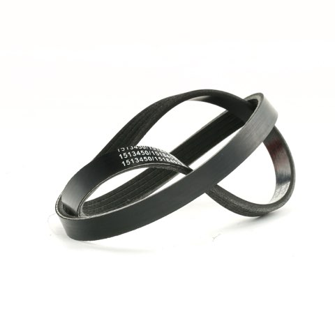 Ridex 305P0437 Serpentine Belt