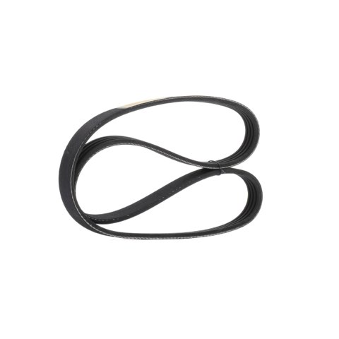 Ridex 305P0442 Serpentine Belt