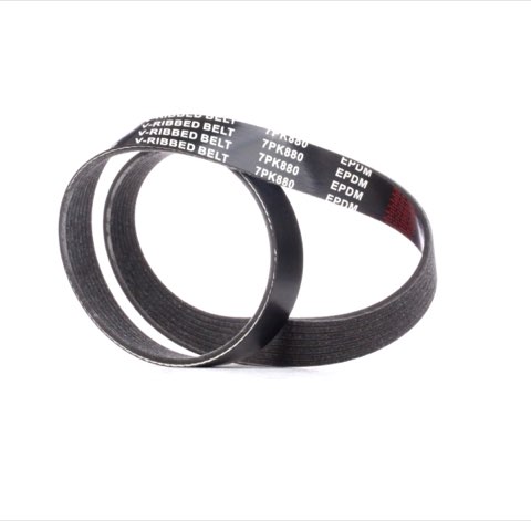 Ridex 305P0456 Serpentine Belt