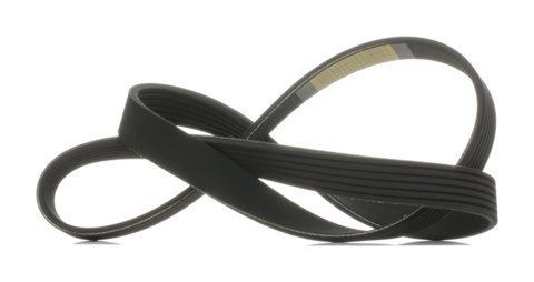 Ridex 305P0476 Serpentine Belt, photo 2