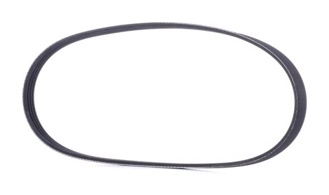 Ridex 305P0479 Serpentine Belt, photo 2