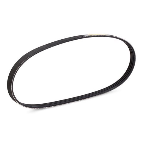 Ridex 305P0479 Serpentine Belt, photo 3