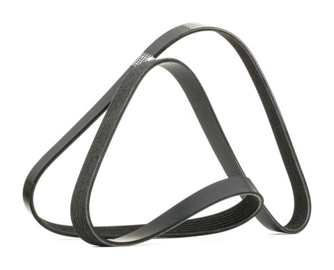 Ridex 305P0492 Serpentine Belt, photo 2