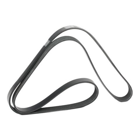 Ridex 305P0492 Serpentine Belt, photo 3