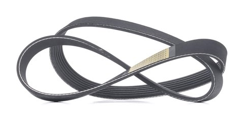 Ridex 305P0494 Serpentine Belt, photo 2