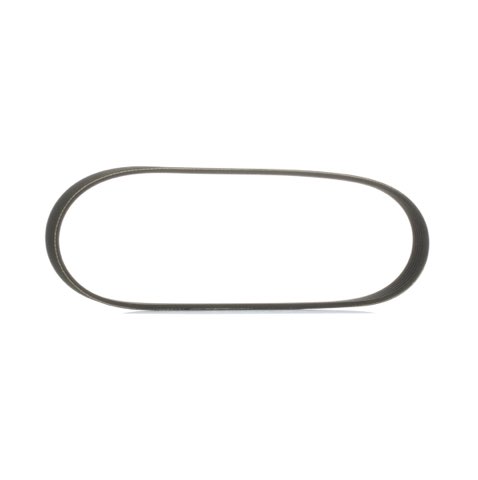 Ridex 305P0495 Serpentine Belt, photo 2