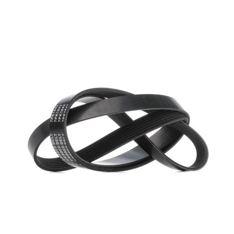 Ridex 305P0496 Serpentine Belt, photo 2