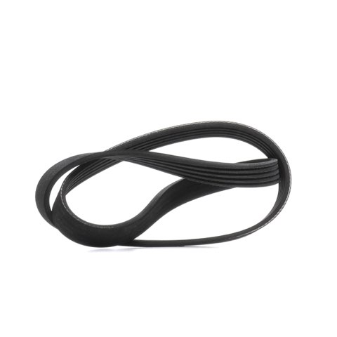 Ridex 305P0503 Serpentine Belt, photo 2