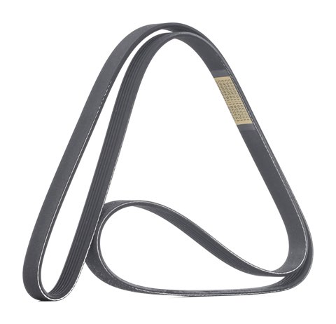 Ridex 305P0506 Serpentine Belt, photo 2