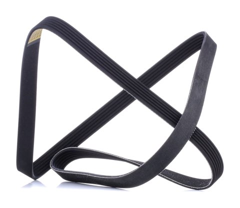 Ridex 305P0508 Serpentine Belt, photo 2