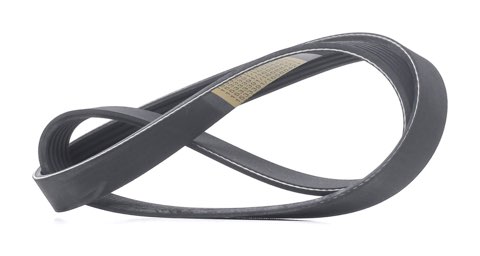 Ridex 305P0534 Serpentine Belt, photo 2