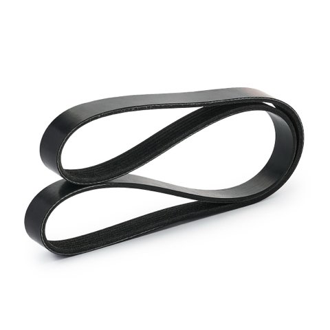 Ridex 305P0536 Serpentine Belt, photo 3