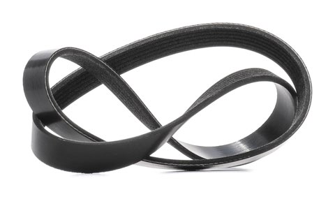 Ridex 305P0542 Serpentine Belt, photo 2