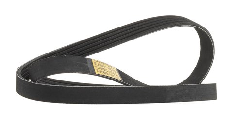 Ridex 305P0550 Serpentine Belt, photo 2