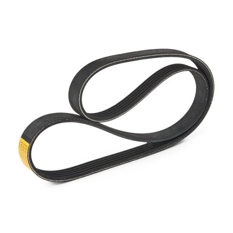 Ridex 305P0551 Serpentine Belt, photo 2