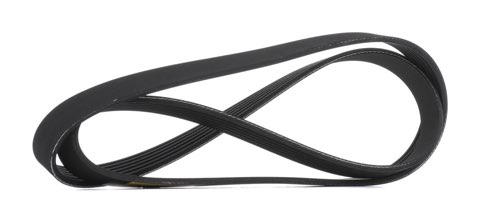 Ridex 305P0556 Serpentine Belt, photo 2