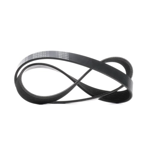 Ridex 305P0569 Serpentine Belt, photo 2