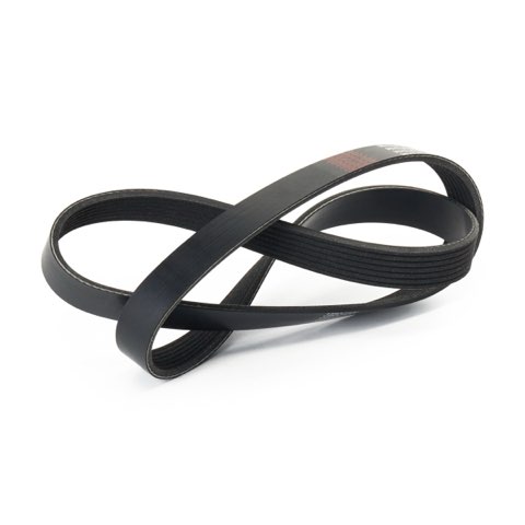 Ridex 305P0569 Serpentine Belt, photo 3