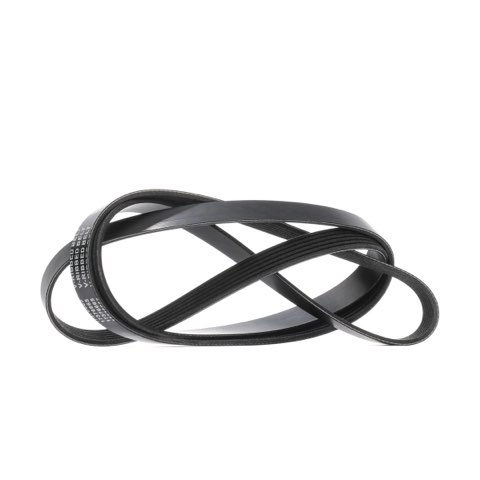 Ridex 305P0576 Serpentine Belt, photo 2