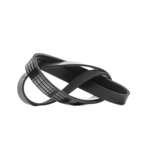 Ridex 305P0579 Serpentine Belt, photo 2